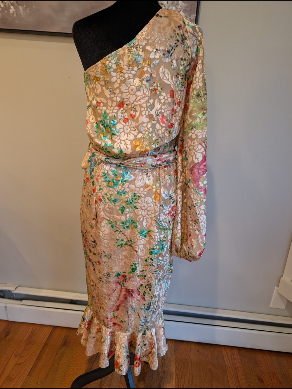 NWT Hemant & Nandita Veena Dress Peach Multi Velvet Burnout Midi Small - Picture 3 of 8